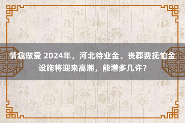 情趣做爱 2024年，河北待业金、丧葬费抚恤金设施将迎来高潮，能增多几许？