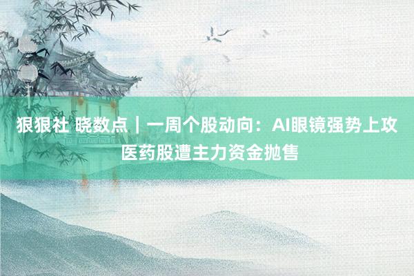 狠狠社 晓数点｜一周个股动向：AI眼镜强势上攻 医药股遭主力资金抛售