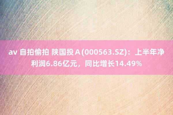 av 自拍偷拍 陕国投A(000563.SZ):上半年净利润6.86亿元,同比增长14.49%