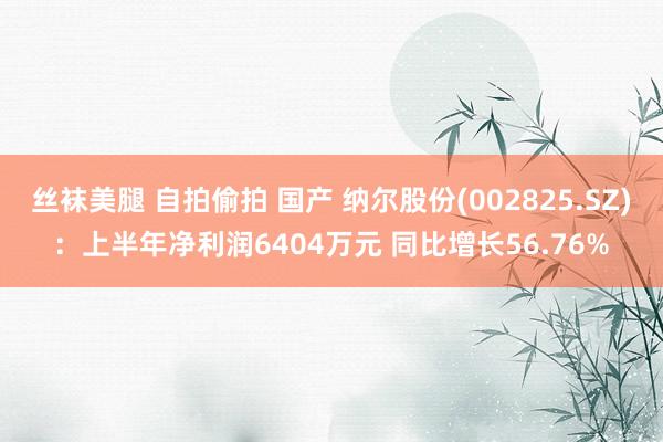 丝袜美腿 自拍偷拍 国产 纳尔股份(002825.SZ):上半年净利润6404万元 同比增长56.76%