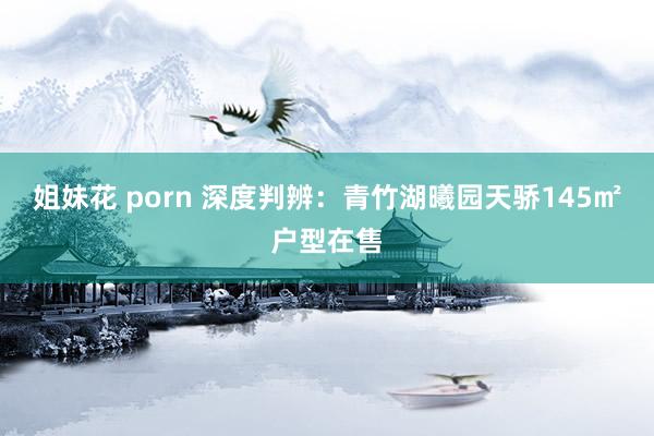 姐妹花 porn 深度判辨:青竹湖曦园天骄145㎡户型在售