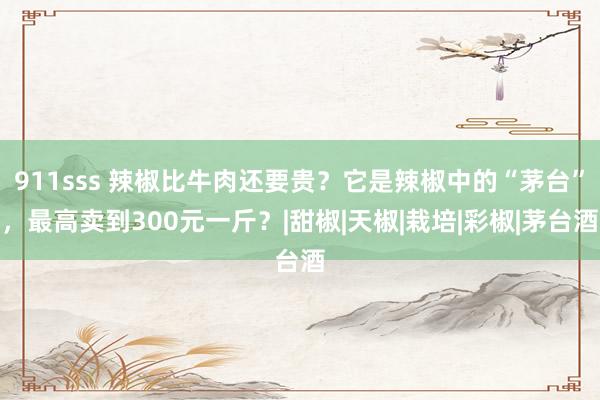 911sss 辣椒比牛肉还要贵？它是辣椒中的“茅台”，最高卖到300元一斤？|甜椒|天椒|栽培|彩椒|茅台酒