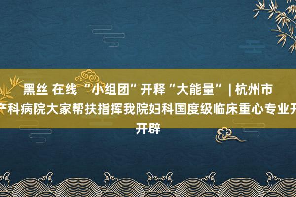 黑丝 在线 “小组团”开释“大能量” | 杭州市妇产科病院大家帮扶指挥我院妇科国度级临床重心专业开辟