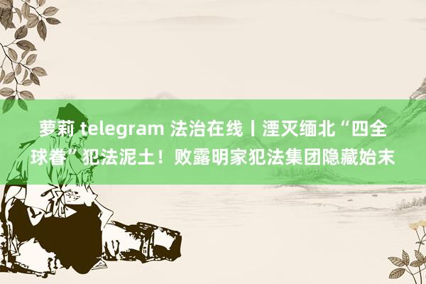 萝莉 telegram 法治在线丨湮灭缅北“四全球眷”犯法泥土！败露明家犯法集团隐藏始末