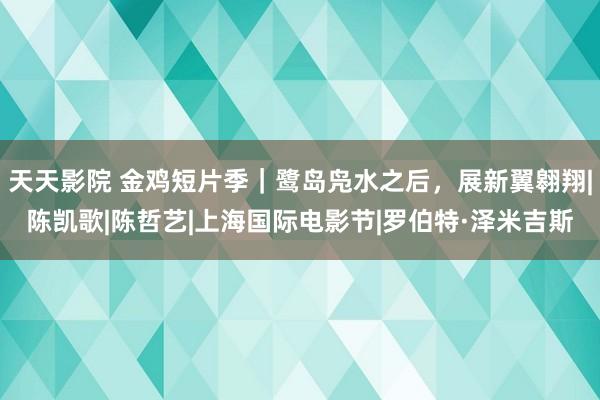 天天影院 金鸡短片季｜鹭岛凫水之后，展新翼翱翔|陈凯歌|陈哲艺|上海国际电影节|罗伯特·泽米吉斯