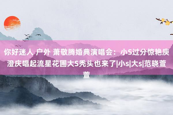 你好迷人 户外 萧敬腾婚典演唱会：小S过分惊艳庾澄庆唱起流星花圃大S秃头也来了|小s|大s|范晓萱
