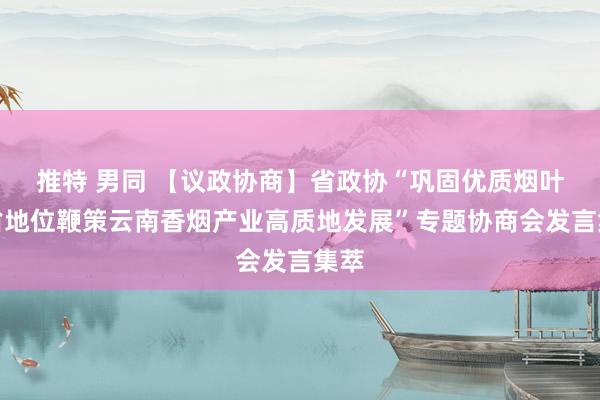 推特 男同 【议政协商】省政协“巩固优质烟叶强省地位鞭策云南香烟产业高质地发展”专题协商会发言集萃