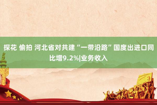 探花 偷拍 河北省对共建“一带沿路”国度出进口同比增9.2%|业务收入