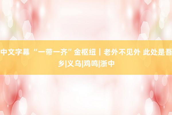 中文字幕 “一带一齐”金枢纽｜老外不见外 此处是吾乡|义乌|鸡鸣|浙中