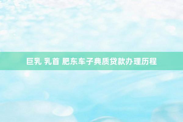 巨乳 乳首 肥东车子典质贷款办理历程