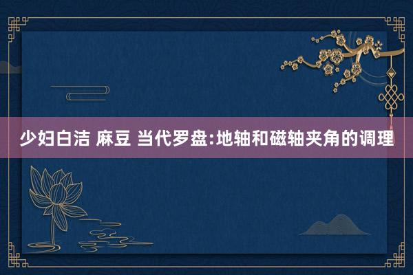 少妇白洁 麻豆 当代罗盘:地轴和磁轴夹角的调理